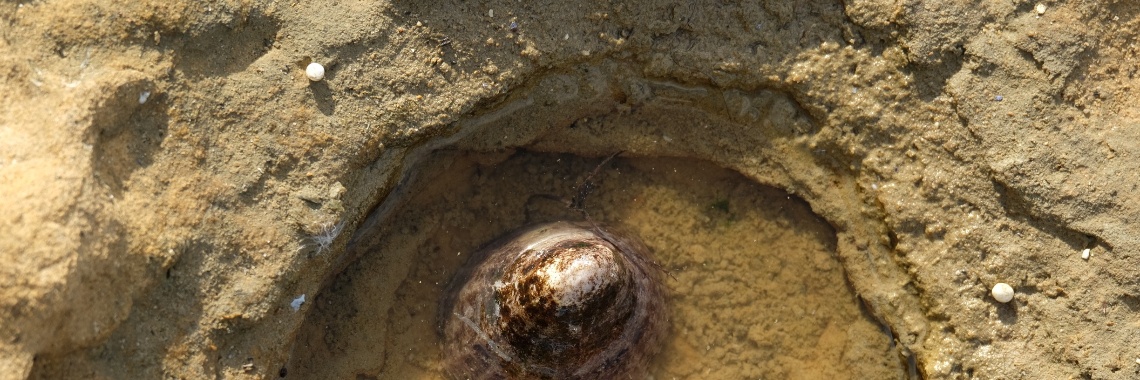 De kou (vervolgverhaal fles) | peerke70