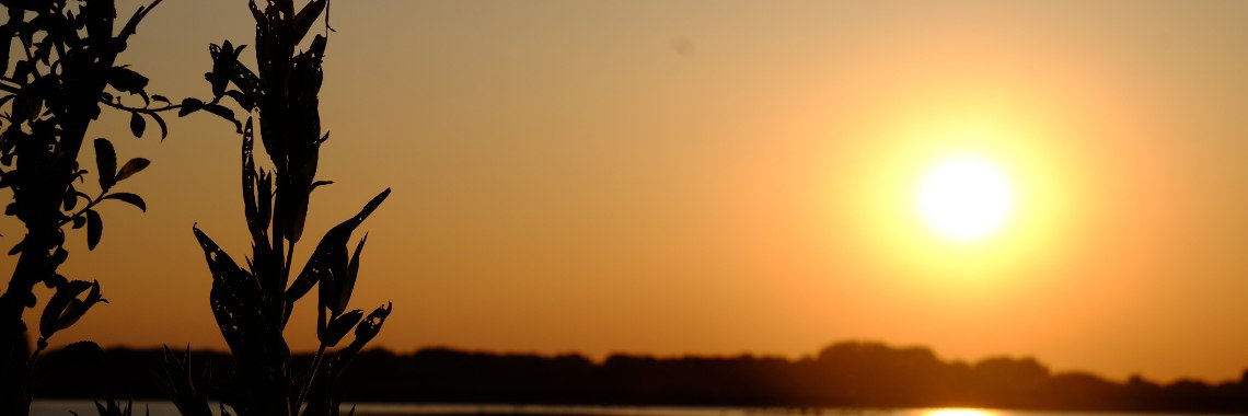 De redding (Vervolgverhaal fles) | peerke70