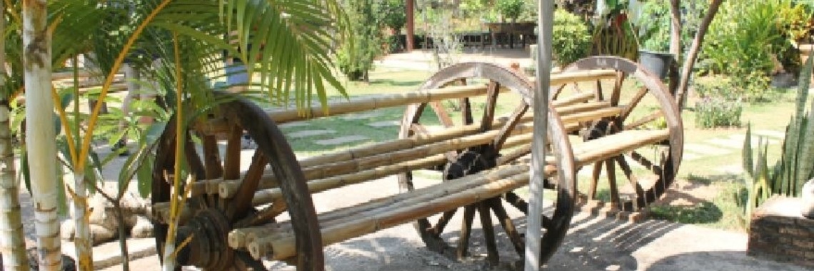 Driewieler | peerke70