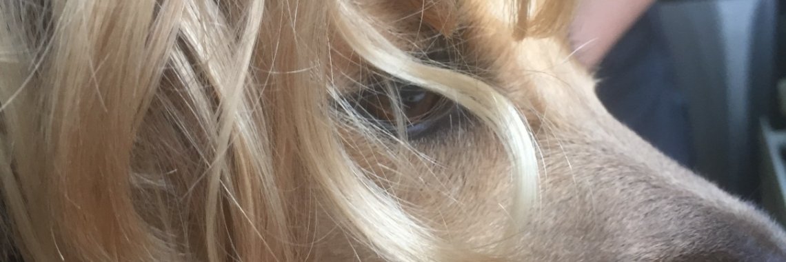 Een heel klein poosje maar. | peerke70