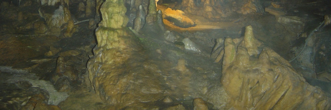 A wall of diamond (follow-up bottle) | peerke70