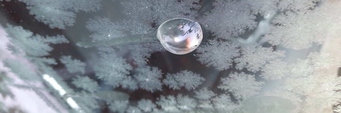 Gek op bubbels! | peerke70