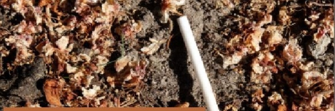 Gekheid op een stokje | peerke70