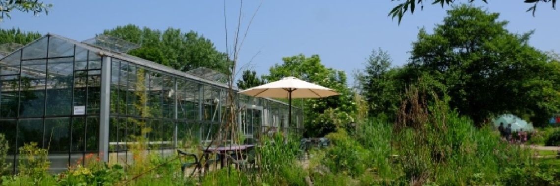 Goed bij kas. | peerke70