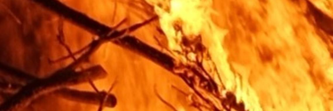 Het wezen... (vervolgverhaal fles). | peerke70