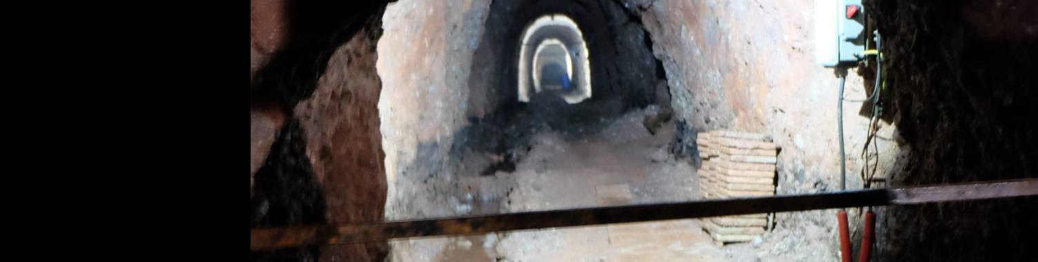 In de Kooi. (#fles) | peerke70