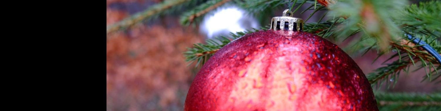 Kerstwens | peerke70