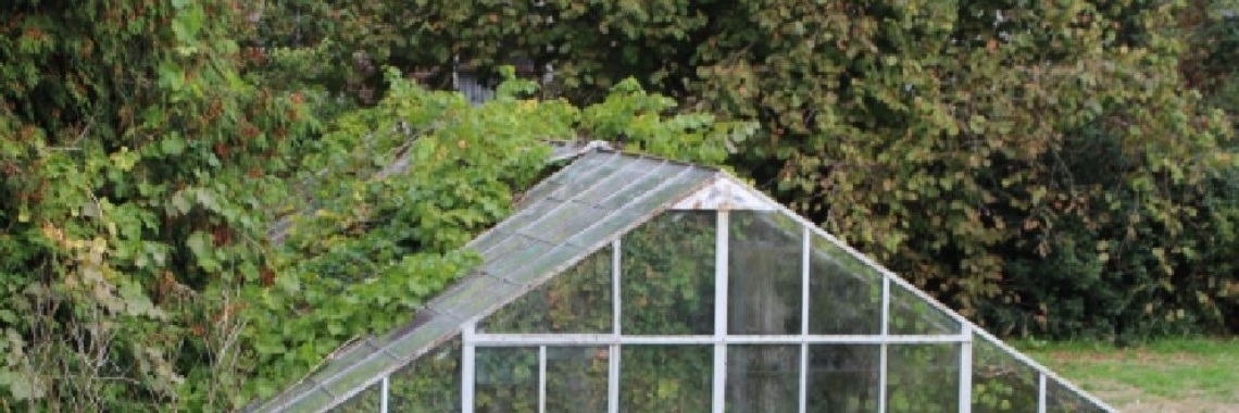 Over- woekeren | peerke70