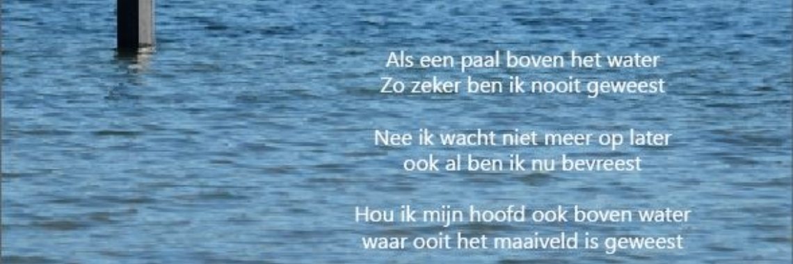 Paal boven water | peerke70