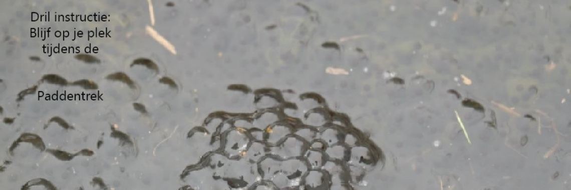 Padden trek | peerke70