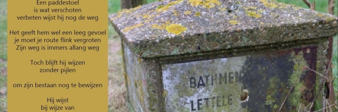 Paddestoel | peerke70