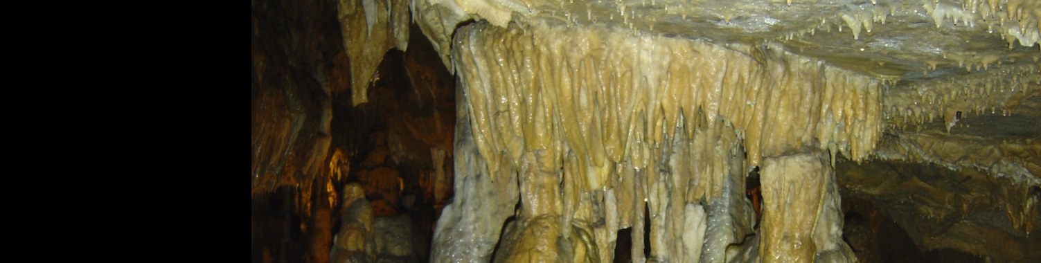 Reden om te blijven? (vervolgverhaal fles) | peerke70