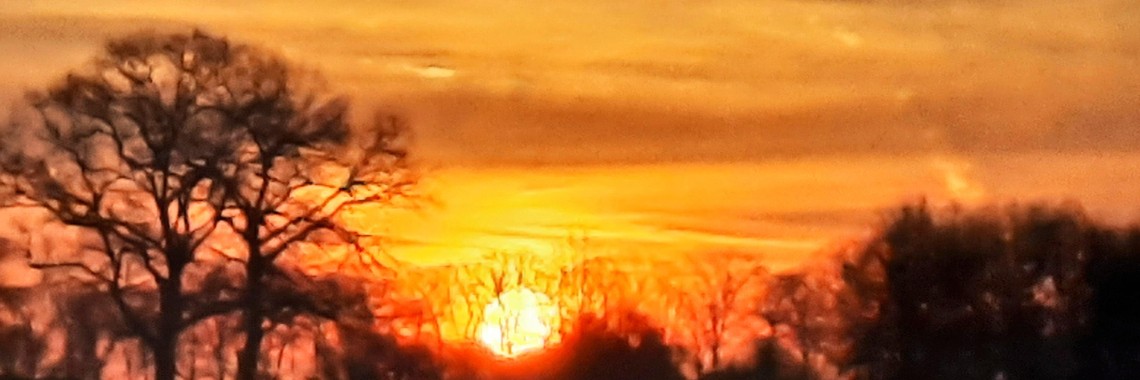 Saharapictures. | peerke70