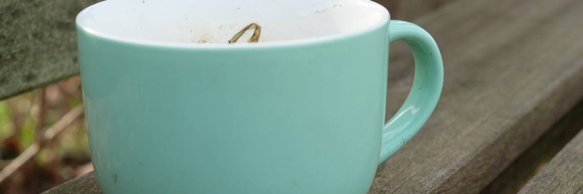 Theepotje maart | peerke70