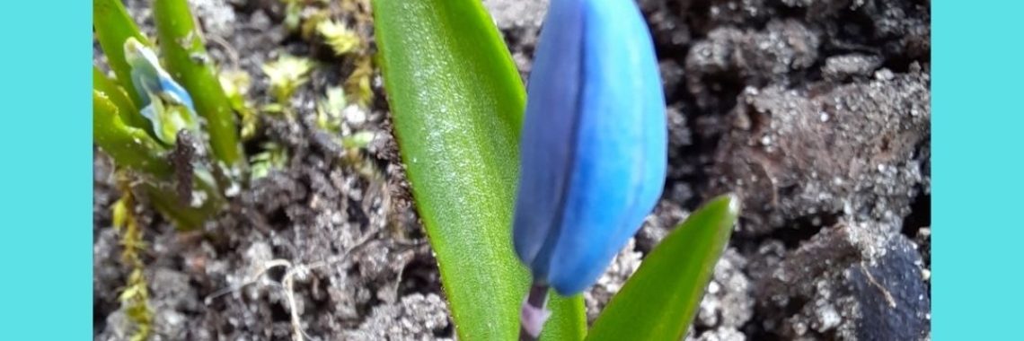 Out of your sphere! | peerke70