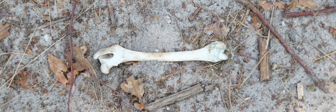 Val (vervolgverhaal fles) | peerke70