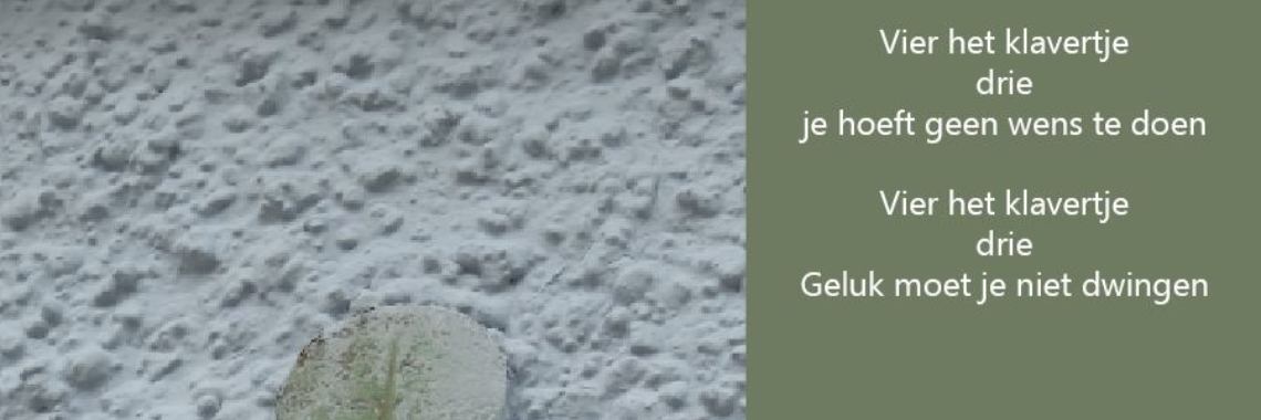 Vier het klavertje drie | peerke70