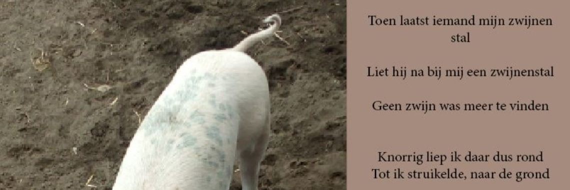 Waarin klein groot kan zijn | peerke70