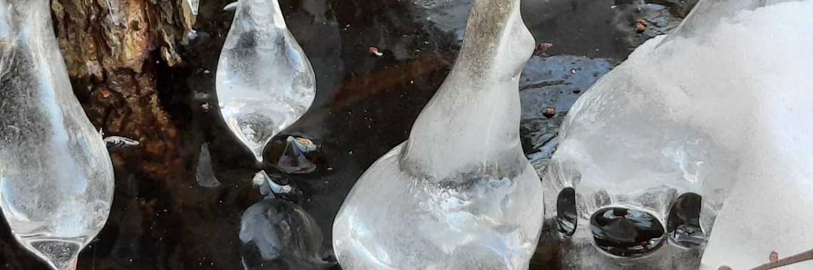 Winter- wonderland | peerke70