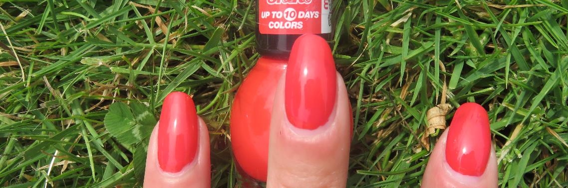 Review: gellak van Miss Sporty | Girls-Things