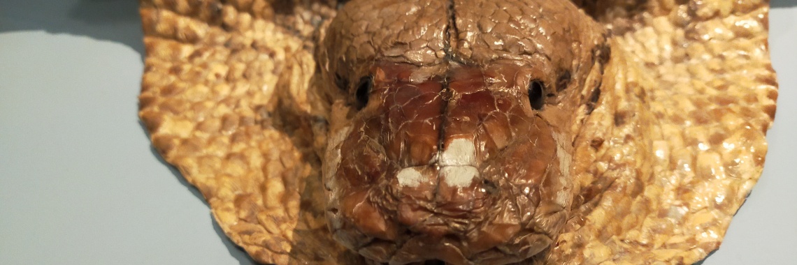 Vaccination and global madness. | Simon van Groningen