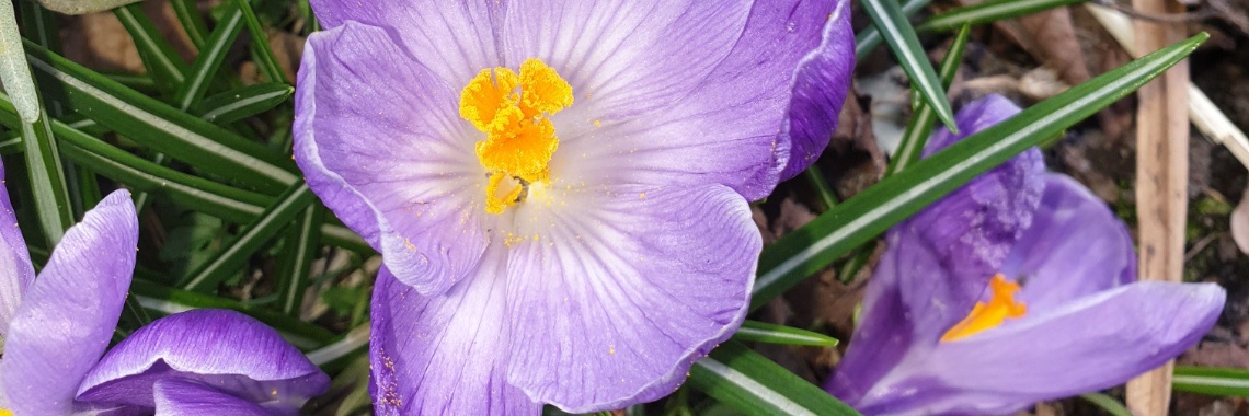 #100happydays dag 12 | PapilioKarin