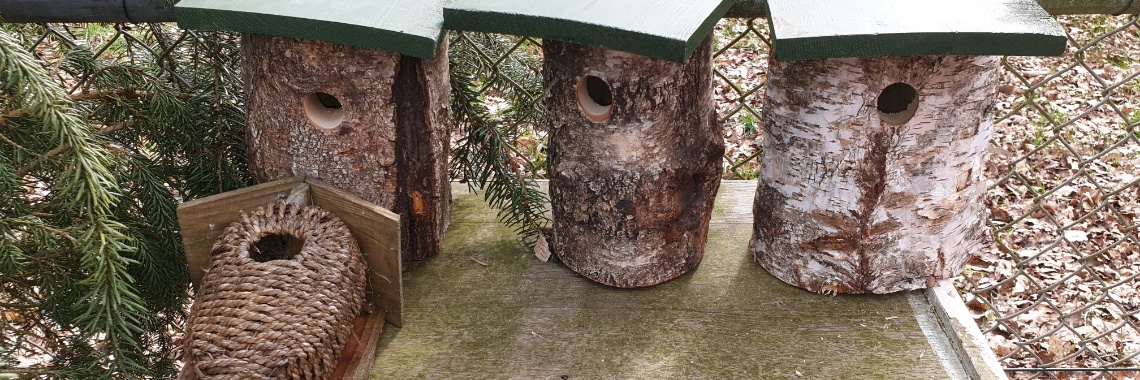 #100happydays dag 14 | PapilioKarin