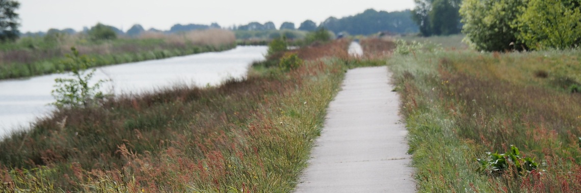 #100happydays dag 71 | PapilioKarin