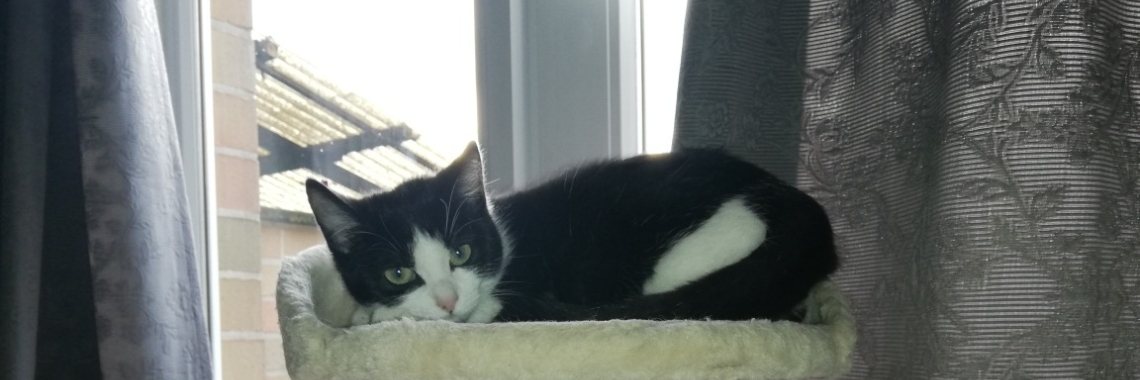 wordt vlug beter | Loena