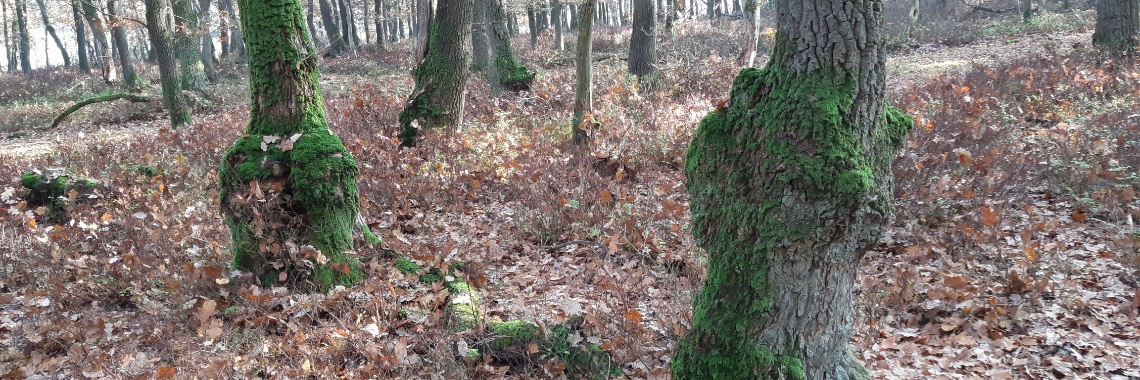 Beter worden | Yvonne Coppens