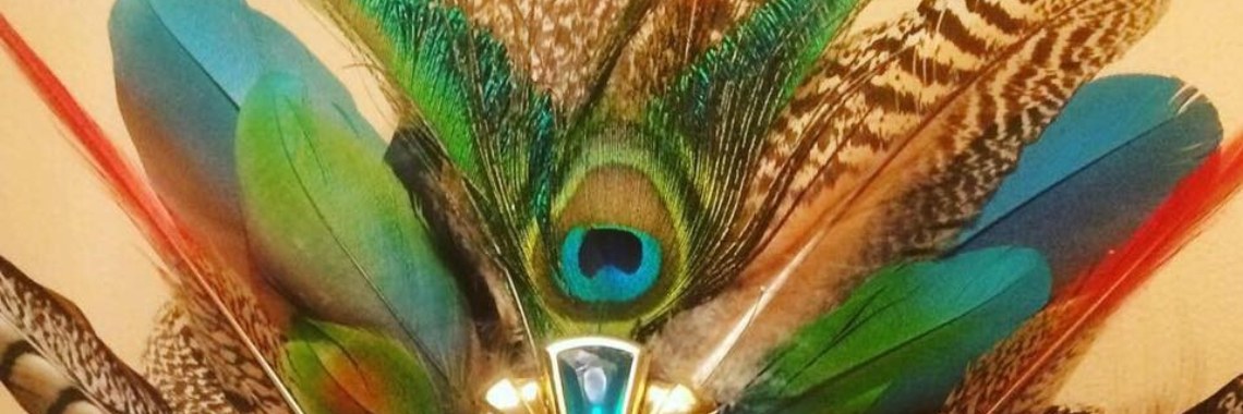 Magische Veren | Yvonne Coppens