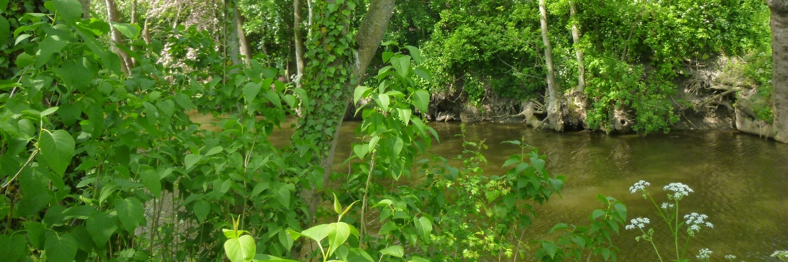 Ontspannen Leven en een ademoefening | Yvonne Coppens