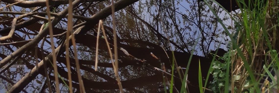 Overgave | Yvonne Coppens