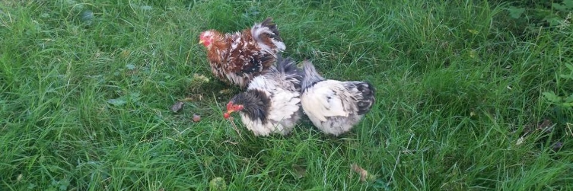 Shooting people | Yvonne Coppens