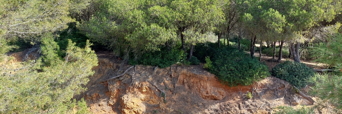 Taal in de samenleving | Yvonne Coppens