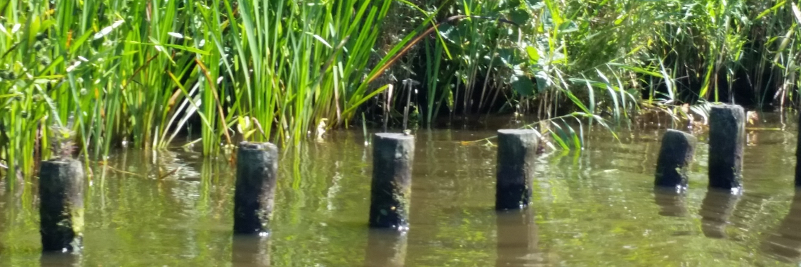 Zelfvertrouwen | Yvonne Coppens