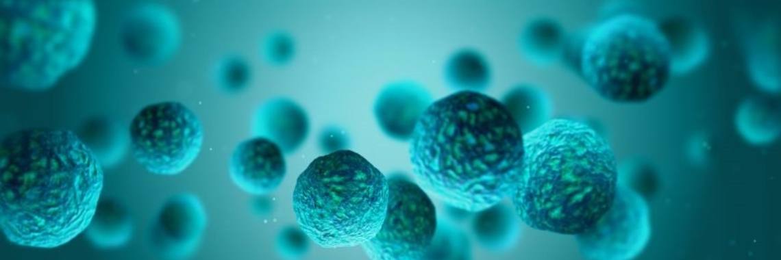 Het toevoegen van Effectieve Micro-organismen (EM) in de ecologische moesttuin | groen.negenduust