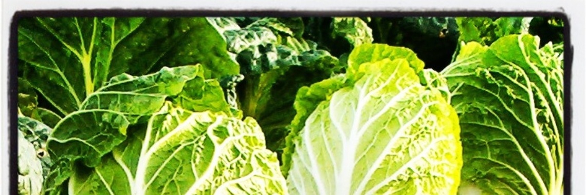 Kunnen de privémoestuinen ons voeden? | groen.negenduust