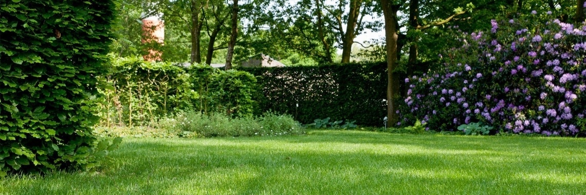 Laat ons het eens over gras hebben! | groen.negenduust