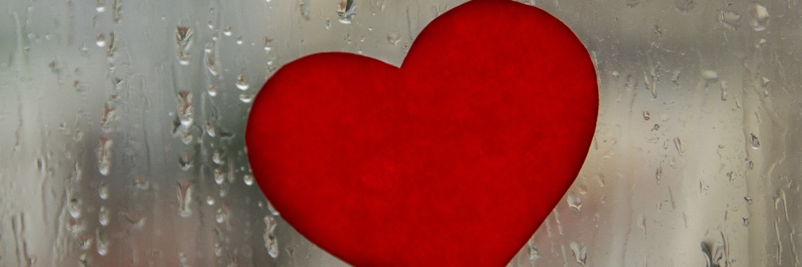 Ik lief je, ik lust je | Non