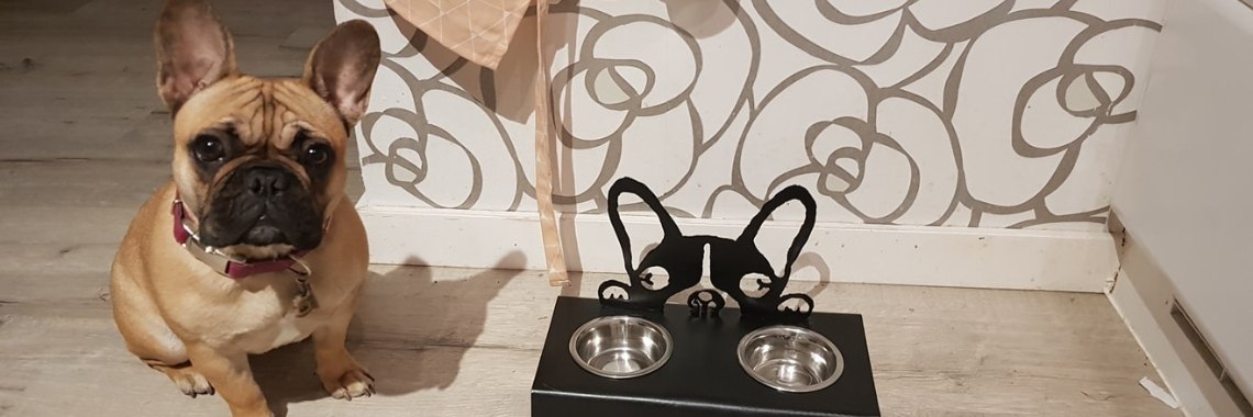 Franse Bulldog | Daffiiy