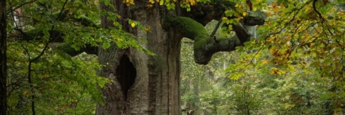 Een goed gesprek | Margriet