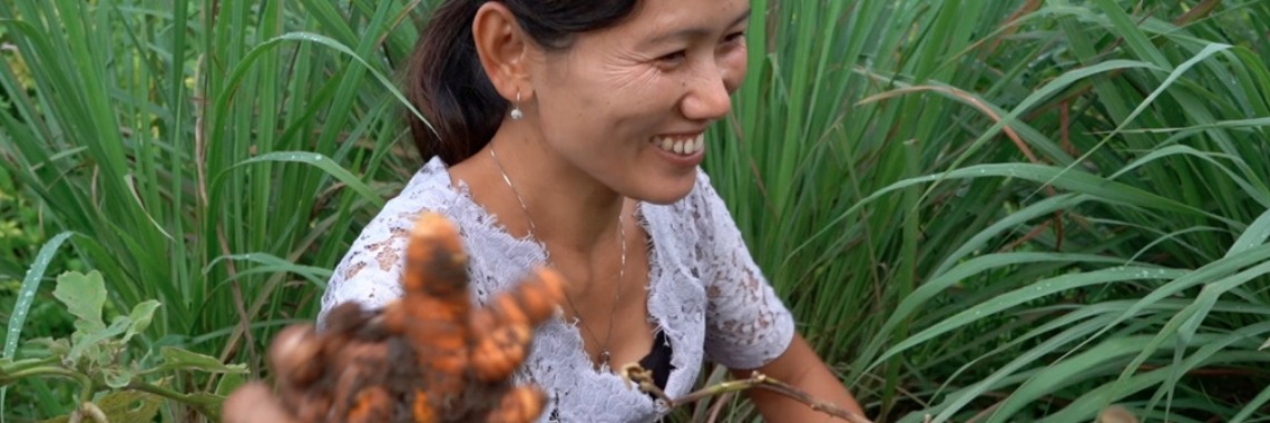 Kunyit (Curcuma) | Made For Good