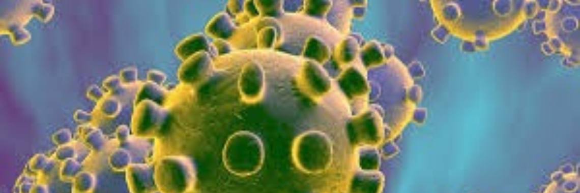 Corona: moeten we bang zijn? | Kruidenkriebels