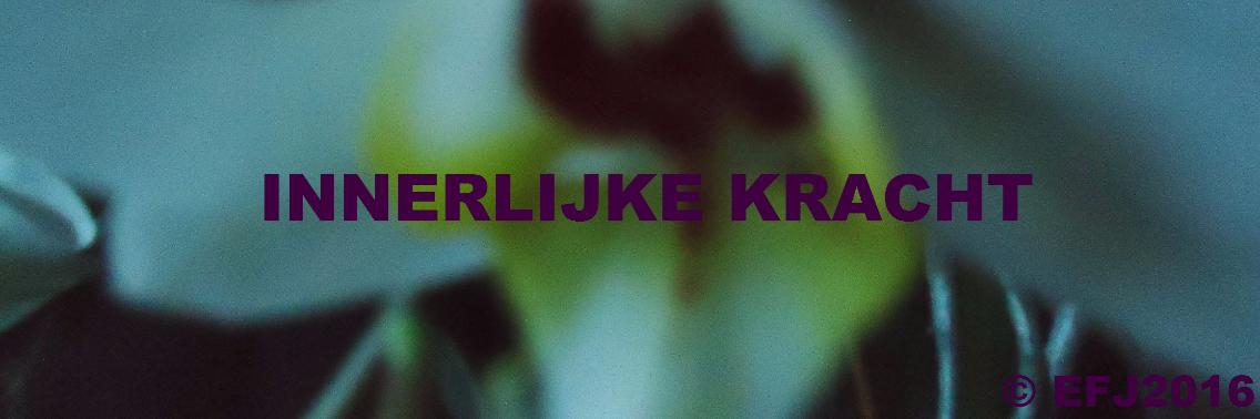 Alles weten maakt niet gelukkig! | Vlindertje73