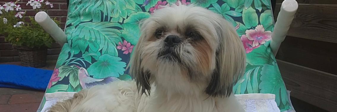 De zenuwen gieren door mijn lijf | Vlindertje73