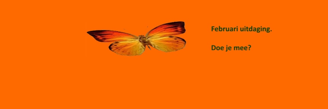Februari uitdaging. Doe je mee? | Vlindertje73