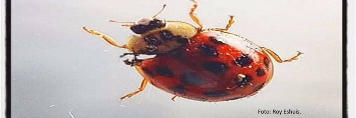 Geweld is toch zinloos?  | Vlindertje73