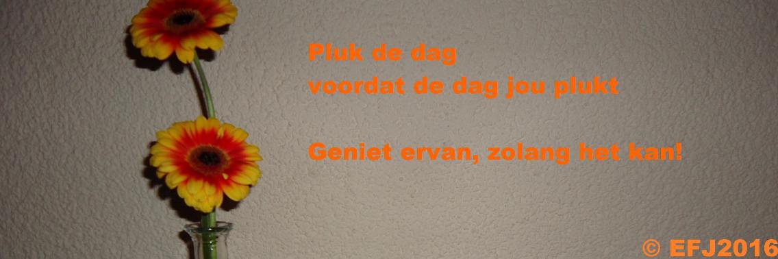 Gun je zelf ook “voelen” | Vlindertje73