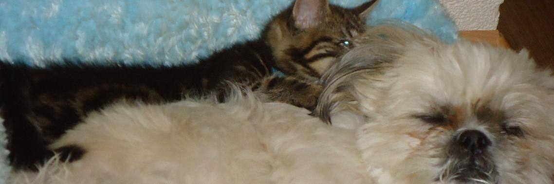 Help mij… | Vlindertje73